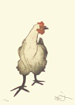 Le Coq