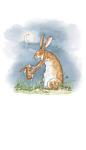 Nutbrown Hare