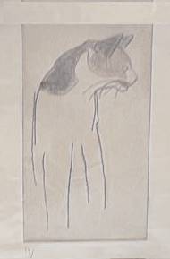 Cat Sketch