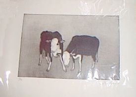 Two Bullocks