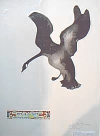 Flying Goose