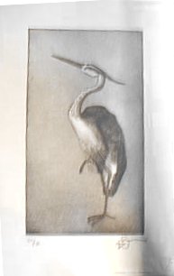 Heron with Aquatint