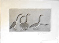 Five Geese