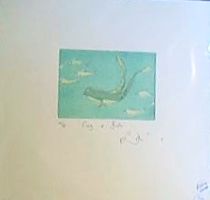 Frog and Fish