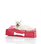 Doggy small