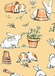 Anita Jeram: Guineapigs