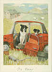 Alison Friend: Old Rover