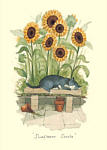 Alison Friend: Sunflower Siesta