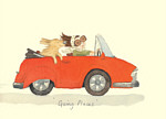 Alison Friend: Going Places