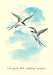 Celia Biscoe: One Good Tern