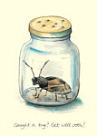 Celia Biscoe: Caught a Bug