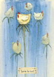 Home To Roost