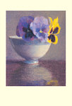 Michael Coutts: Pansies