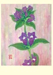 Yuko Hirose: Japanese Gentian