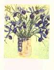 Jenny Devereaux: Irises