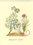 Anita Jeram: Fennel and Chives