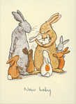 Anita Jeram: New Baby