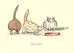 Fat Cats