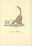 Cat and Milk