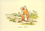 Anita Jeram: Nature Trail