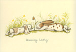 Anita Jeram: Blooming Lovely