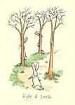 Anita Jeram: Hide and Seek