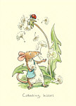 Anita Jeram: Collecting Kisses