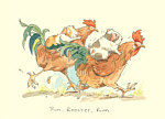 Anita Jeram: Rooster Race