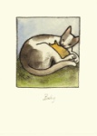 Anita Jeram: Baby