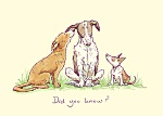 Anita Jeram: Did You Know