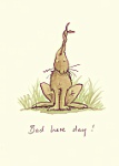 Bad Hare Day