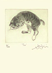 Julian Williams: Taro A Manx Cat