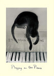 Julian Williams: Playing on the Piano
