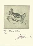 Julian Williams: Manx Kitten