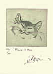 Julian Williams: Manx Kitten