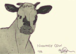 Julian Williams: Normandy Cow