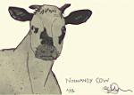 Normandy Cow