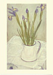Melanie Epps: Irises In A White Jug