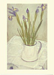 Irises In A White Jug