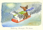 Anna Shuttlewood: Dashing through the snow