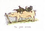 Anita Jeram: The Great Escape