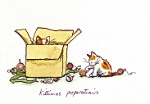 Anita Jeram: Kittimas Prepartions