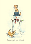 Anita Jeram: Snow Mans An Island