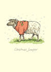 Anita Jeram: Christmas Jumper