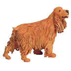 Cocker Spaniel