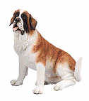 St Bernard