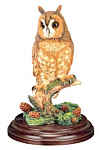 Long Eared Owl