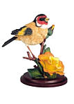 Goldfinch