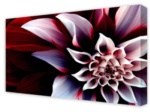 Canvas Art