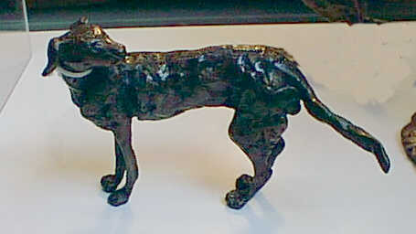 Grey Hound